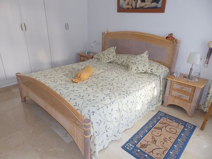 Los Dolses property: Alicante Villa 251273