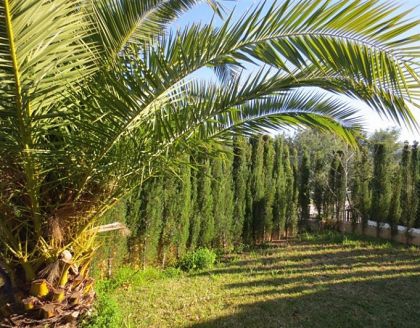 Calpe property: Calpe, Spain | Villa for sale 251308