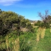 Calpe property: Villa in Alicante 251404
