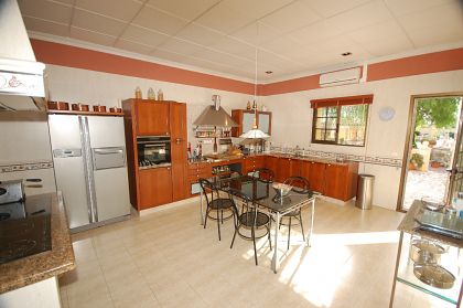 Villamartin property: Alicante Villa 251454
