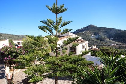 Alcalali property: Villa for sale in Alcalali, Alicante 251837