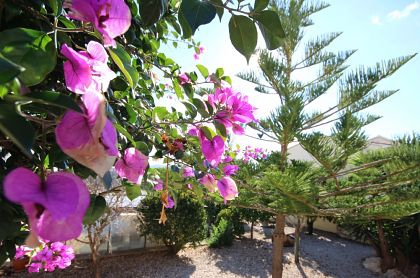 Alcalali property: Villa in Alicante for sale 251837