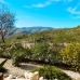 Castell&nbsp;De&nbsp;Castells&nbsp;property:&nbsp;4&nbsp;bedroom&nbsp;Villa&nbsp;in&nbsp;Castell&nbsp;De&nbsp;Castells,&nbsp;Spain&nbsp;251838