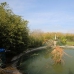 Pedreguer property: Pedreguer Villa, Spain 251841