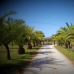 Murla property: Villa in Alicante 251845