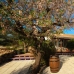 Parcent property: 4 bedroom Villa in Parcent, Spain 251857