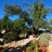 Lliber property: Lliber Villa, Spain 251858