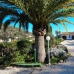 Llosa De Camacho property: Llosa De Camacho, Spain Villa 251860