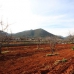 Lliber property: Villa in Lliber 251861
