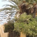 Calpe property: Apartment in Alicante 251887