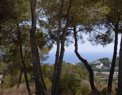 Moraira property: Villa in Alicante to rent 252018