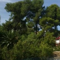 Benissa property: Villa for sale in Benissa 252117