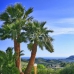 Benissa property: Benissa, Spain Villa 252140