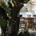 Calpe property: 4 bedroom Villa in Alicante 252171