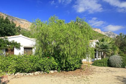 Jesus Pobre property: Villa in Alicante for sale 252280