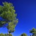 Javea property: Villa in Alicante 252325