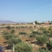 3 bedroom Villa in Alicante 252541