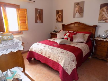 Alicante Villa 252567