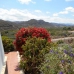 town Villa, Spain 252577