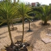 Alicante Villa, Spain 252589