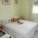 Alicante Villa, Spain 252596