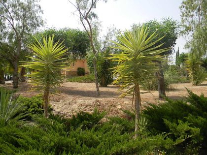 Alicante property | 3 bedroom Villa 252620