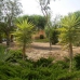 town Villa, Spain 252620