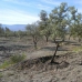 town, Spain Villa 252645