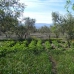 4 bedroom Villa in Alicante 252645