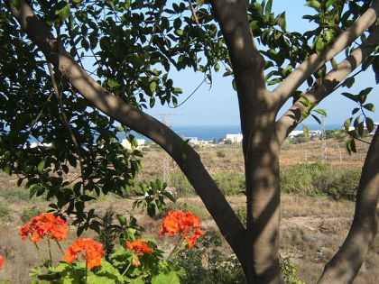 Villa for sale in town, Spain 252671