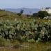 Alicante, Spain Villa 252686