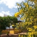 3 bedroom Villa in Alicante 252686