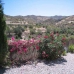 3 bedroom Villa in Alicante 252729