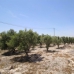 Hondon De Los Frailes property: Hondon De Los Frailes Villa, Spain 253333