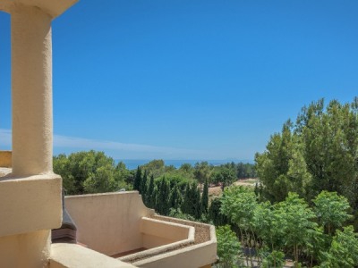 Manchones Nagueles property: Manchones Nagueles Townhome 253695