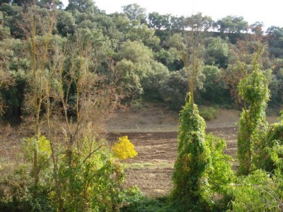 Ronda property: Malaga Finca 254037