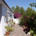 Arcos De La Frontera property: Villa in Cadiz 254048