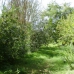 Ronda property: Ronda Finca, Spain 254056