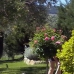 Arriate property: Arriate, Spain Villa 254076