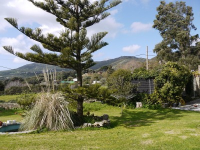 Tarifa property: House for sale in Tarifa 254091