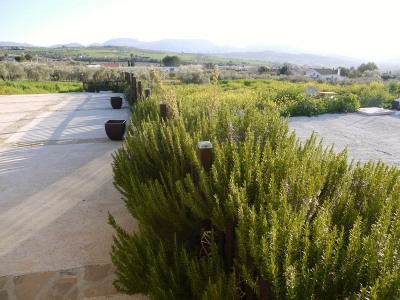 Ronda property: Ronda Villa 254100