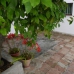 3 bedroom Townhome in town, Spain 254120
