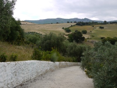 Algodonales property: House with 3 bedroom in Algodonales, Spain 254121