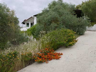 Algodonales property: Cadiz House 254121