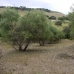 Algodonales property: Algodonales House, Spain 254121