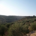 Olvera property: Land in Olvera 254122