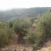Olvera property: Cadiz Land, Spain 254122