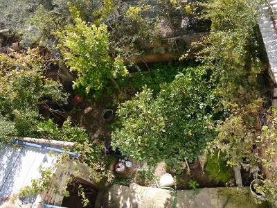 Algodonales&nbsp;property:&nbsp;Townhome&nbsp;with&nbsp;4&nbsp;bedroom&nbsp;in&nbsp;Algodonales,&nbsp;Spain&nbsp;254145