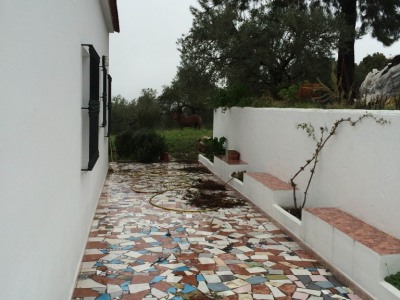 Algodonales property: Algodonales House 254147