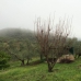 Algodonales property: Algodonales House, Spain 254147